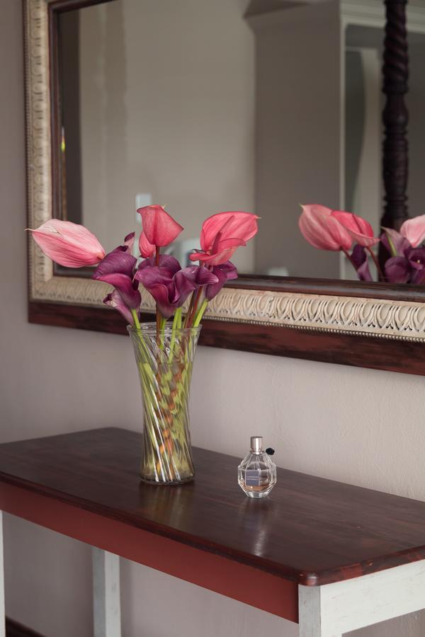 Annie'S Boutique Guesthouse And Garden Spa Хартбееспоорт Екстериор снимка